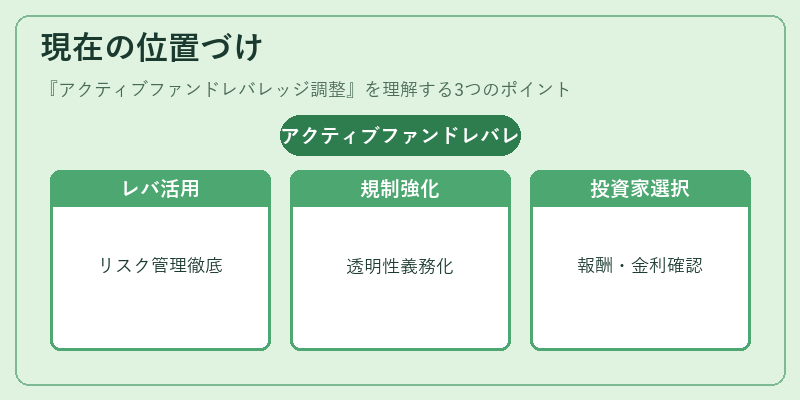 現在の位置づけ（アクティブファンドレバレッジ調整）の図解