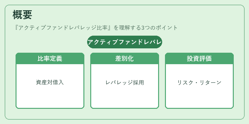 概要(アクティブファンドレバレッジ比率)の図解