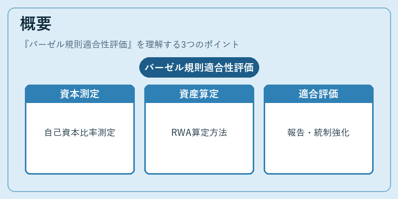 概要（バーゼル規則適合性評価）の図解