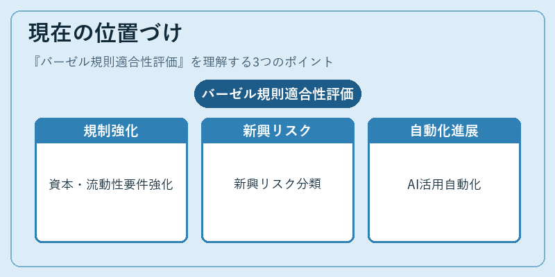 現在の位置づけ（バーゼル規則適合性評価）の図解