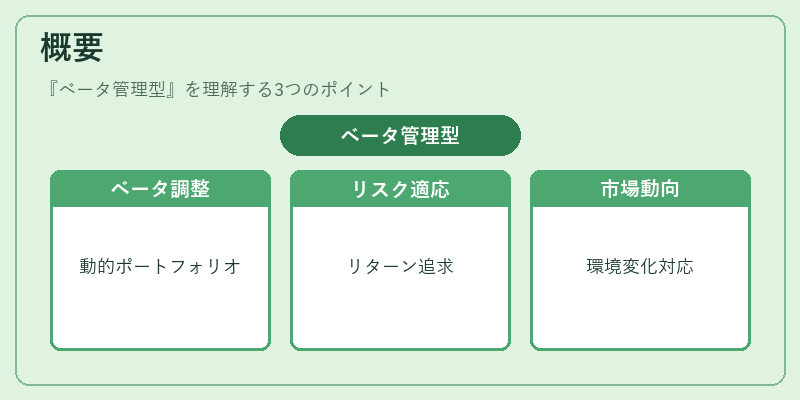 概要（ベータ管理型）の図解