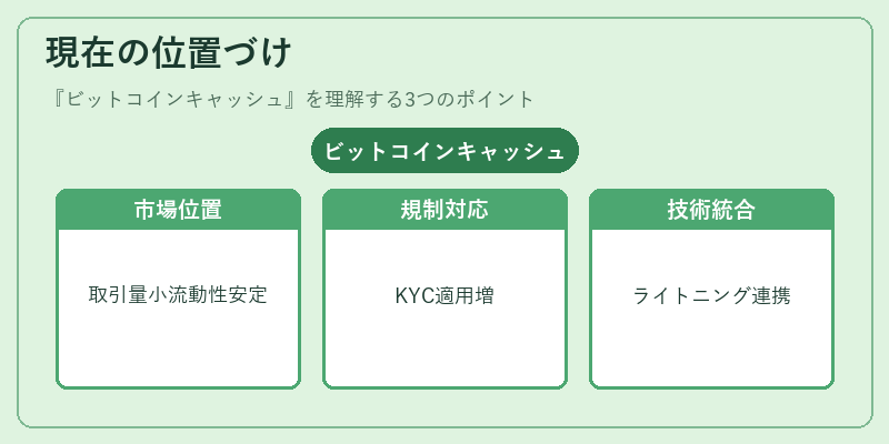 現在の位置づけ（ビットコインキャッシュ）の図解