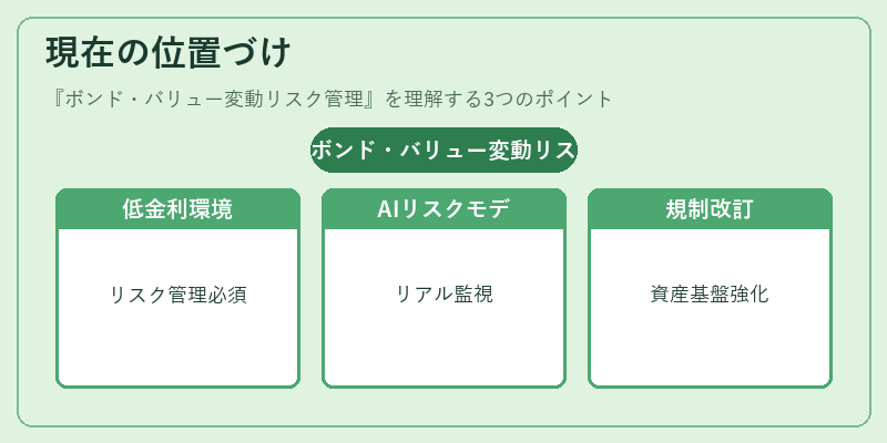 現在の位置づけ（ボンド・バリュー変動リスク管理）の図解
