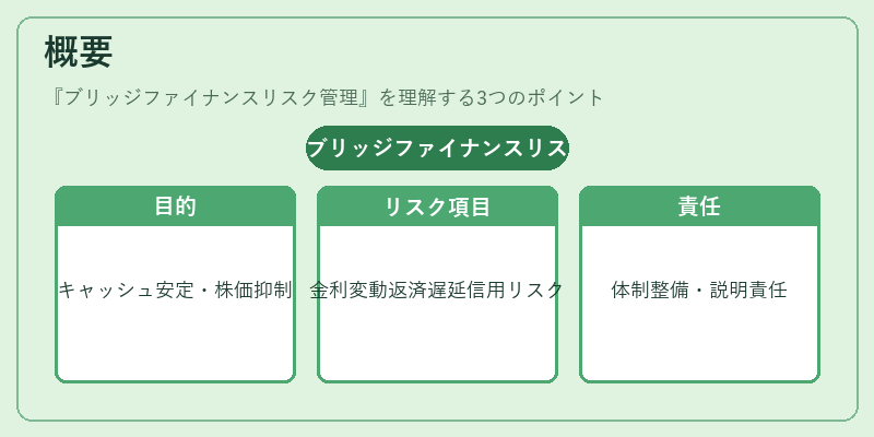 概要（ブリッジファイナンスリスク管理）の図解
