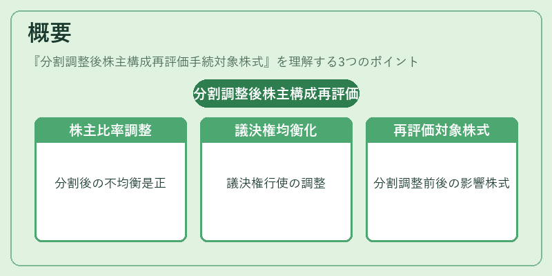 概要(分割調整後株主構成再評価手続対象株式)の図解