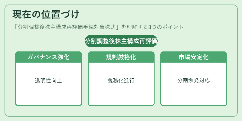 現在の位置づけ(分割調整後株主構成再評価手続対象株式)の図解