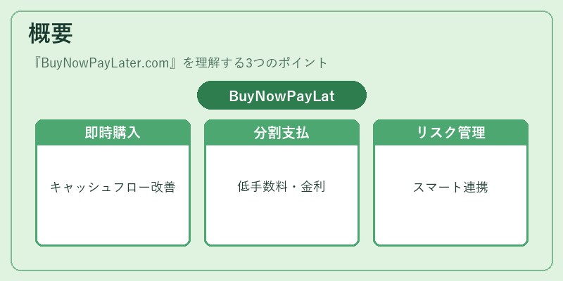 概要（BuyNowPayLater.com）の図解