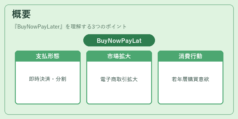概要（BuyNowPayLater）の図解