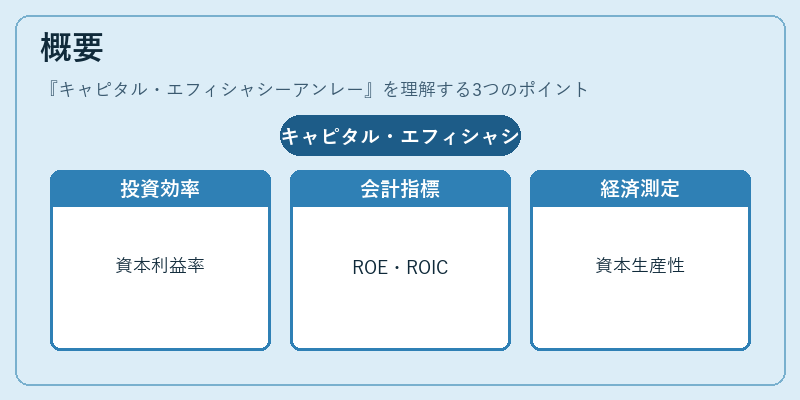 概要（キャピタル・エフィシャシーアンレー）の図解