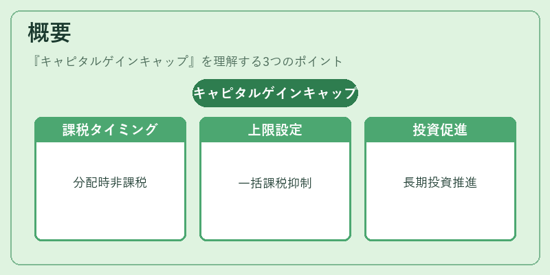概要（キャピタルゲインキャップ）の図解