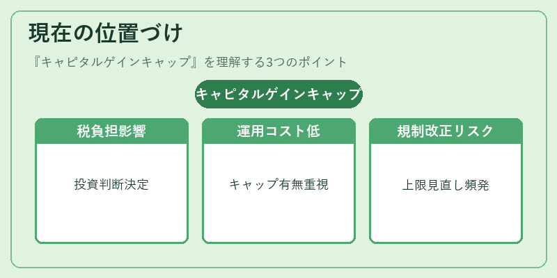 現在の位置づけ（キャピタルゲインキャップ）の図解