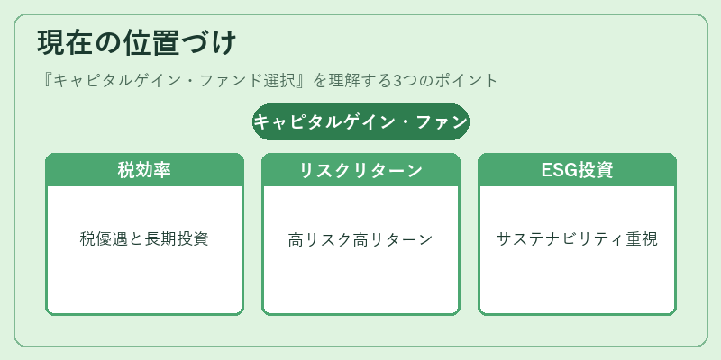 現在の位置づけ（キャピタルゲイン・ファンド選択）の図解