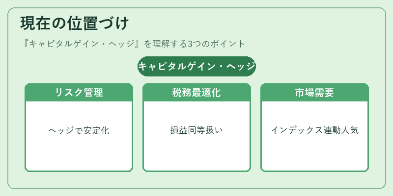 現在の位置づけ（キャピタルゲイン・ヘッジ）の図解