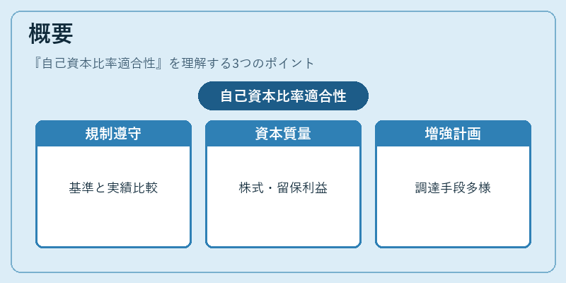 概要（自己資本比率適合性）の図解