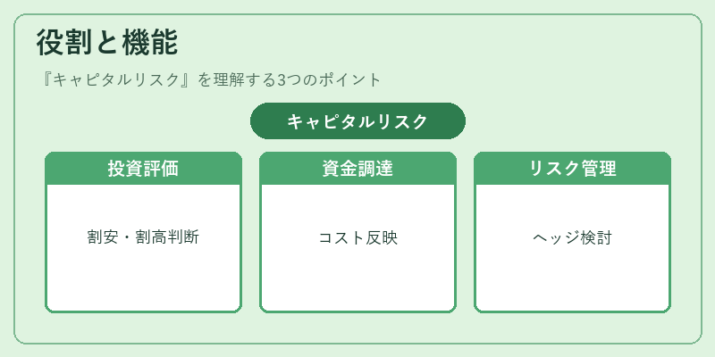 役割と機能（キャピタルリスク）の図解