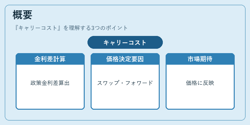 概要（キャリーコスト）の図解