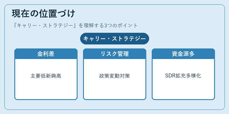 現在の位置づけ（キャリー・ストラテジー）の図解