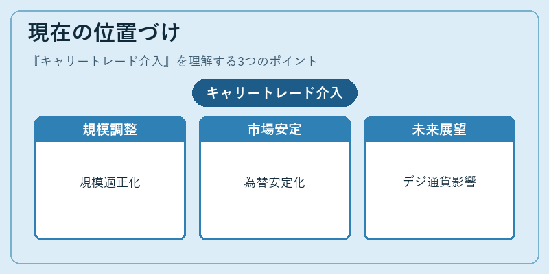 現在の位置づけ（キャリートレード介入）の図解