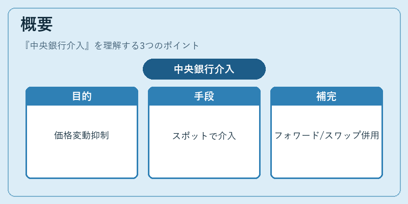 概要（中央銀行介入）の図解
