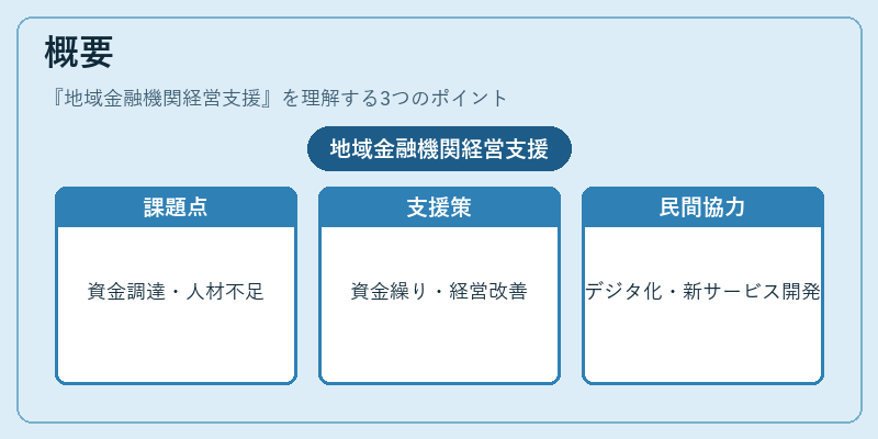 概要（地域金融機関経営支援）の図解