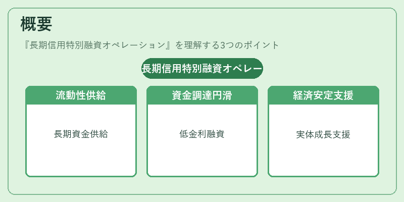 概要（長期信用特別融資オペレーション）の図解