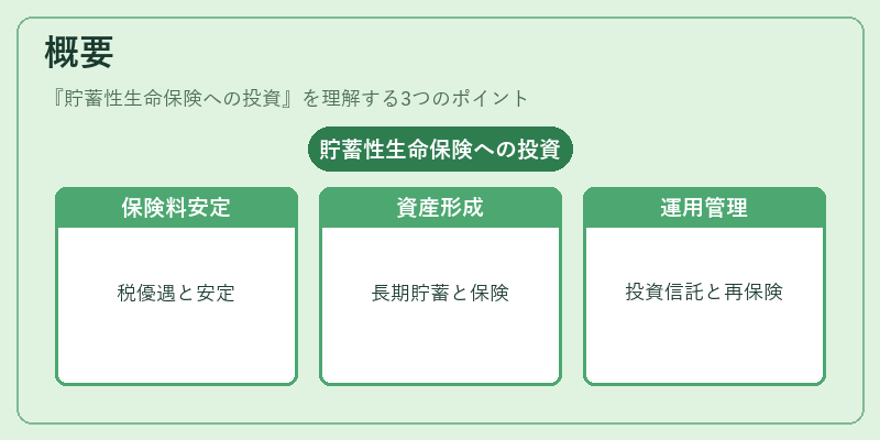 概要（貯蓄性生命保険への投資）の図解