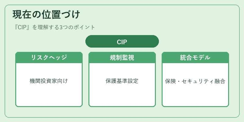 現在の位置づけ（CIP）の図解