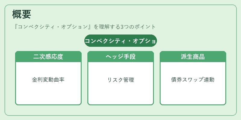 概要（コンベクシティ・オプション）の図解