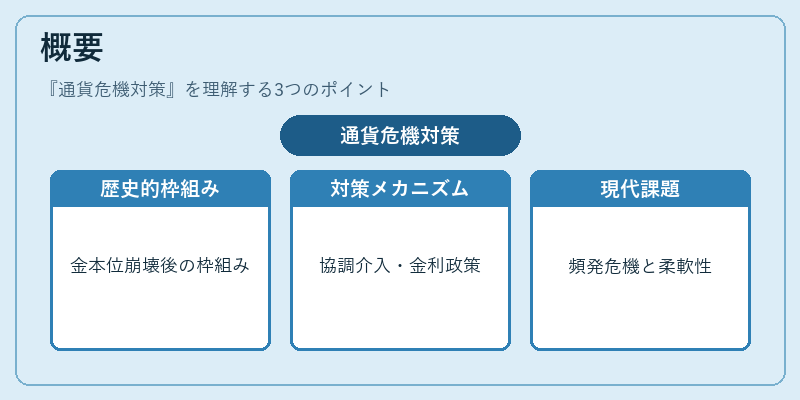 概要（通貨危機対策）の図解