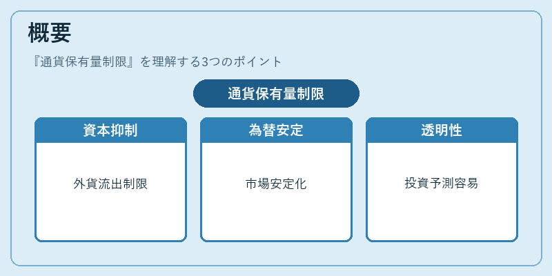 概要（通貨保有量制限）の図解