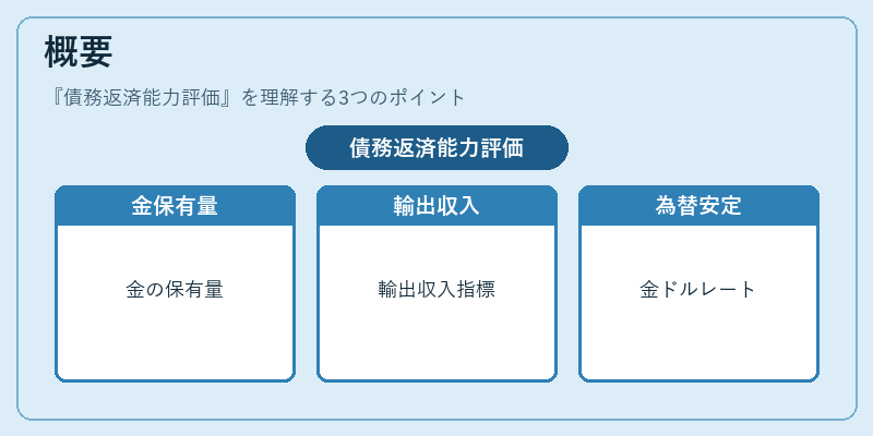 概要（債務返済能力評価）の図解