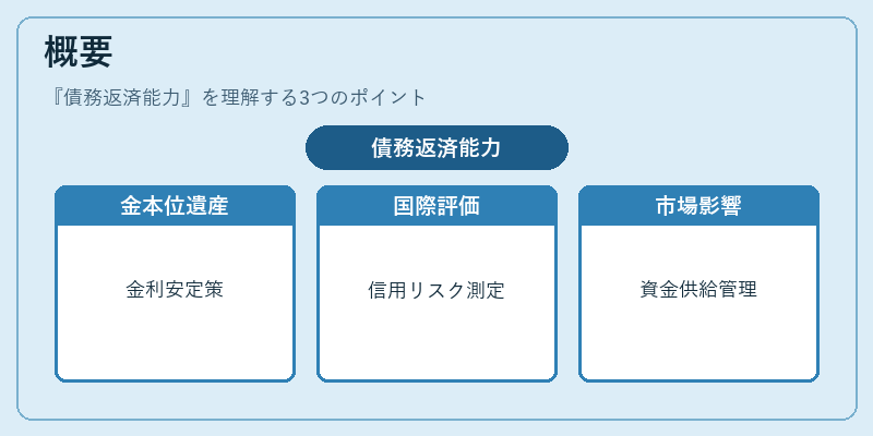 概要（債務返済能力）の図解