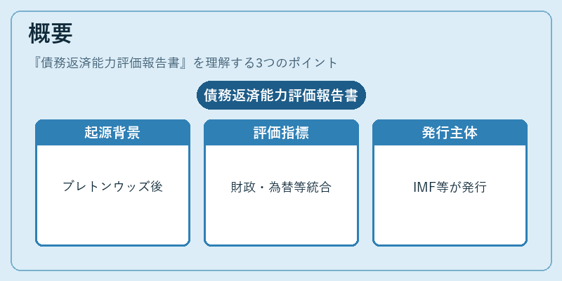 概要（債務返済能力評価報告書）の図解