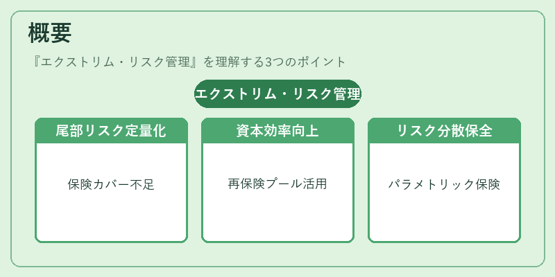 概要（エクストリム・リスク管理）の図解