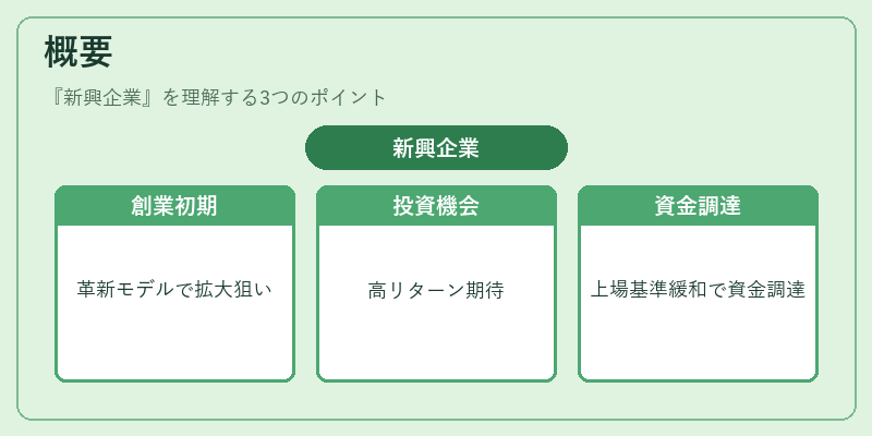 概要（新興企業）の図解