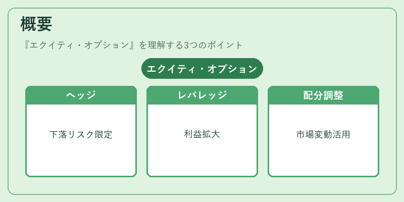 概要（エクイティ・オプション）の図解