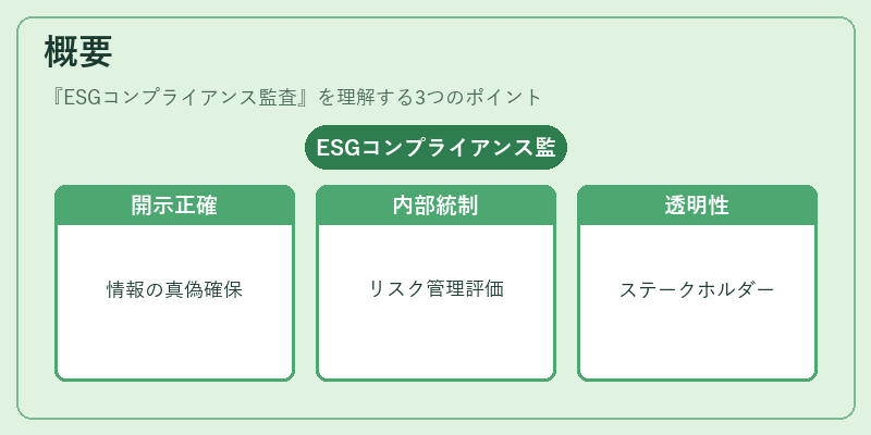 概要（ESGコンプライアンス監査）の図解