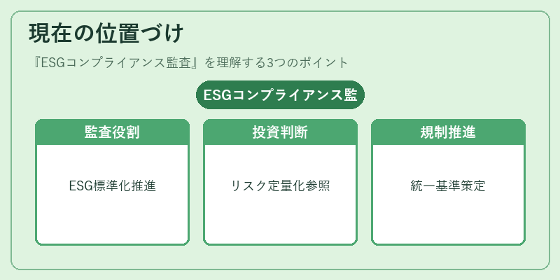 現在の位置づけ（ESGコンプライアンス監査）の図解