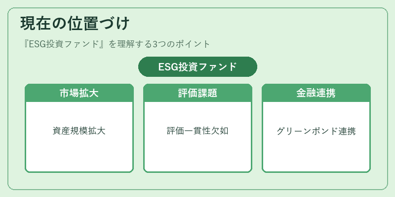 現在の位置づけ（ESG投資ファンド）の図解