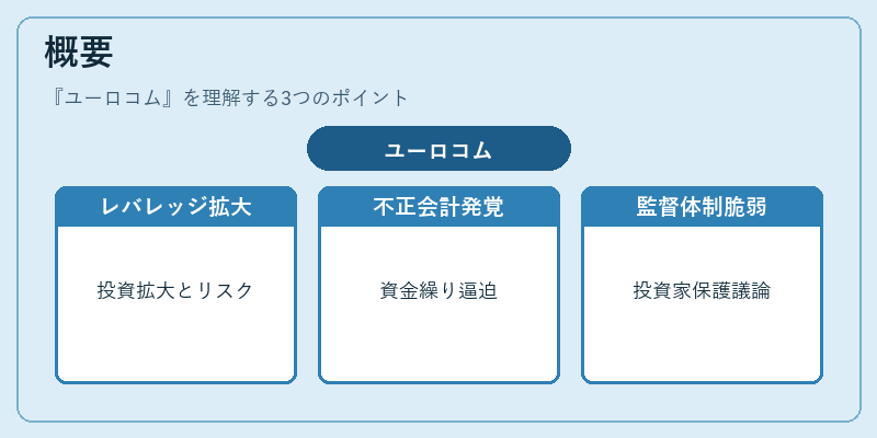 概要（ユーロコム）の図解