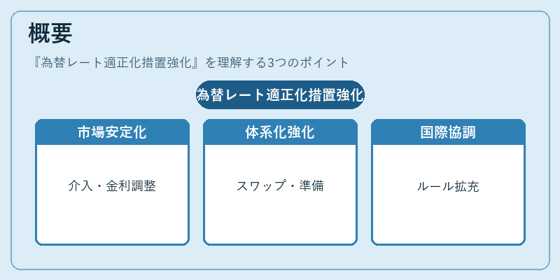 概要（為替レート適正化措置強化）の図解