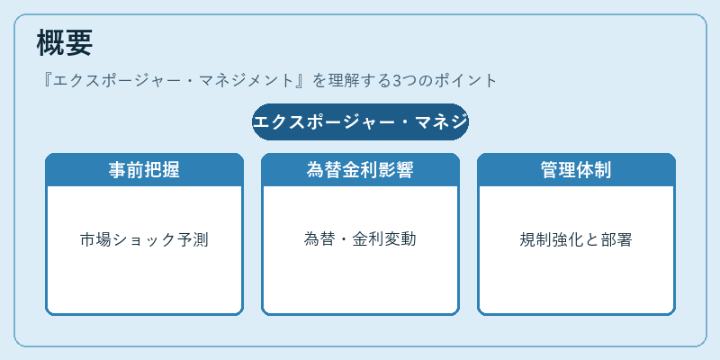 概要(エクスポージャー・マネジメント)の図解