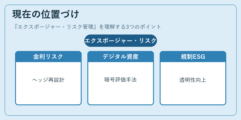 現在の位置づけ（エクスポージャー・リスク管理）の図解