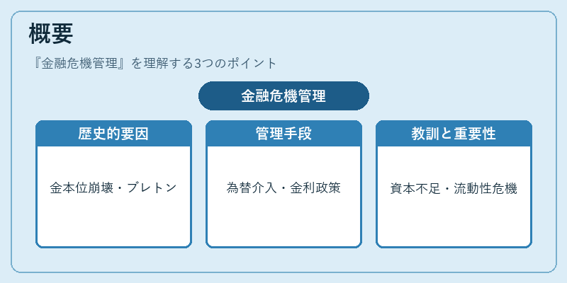 概要（金融危機管理）の図解