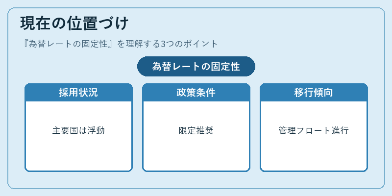 現在の位置づけ（為替レートの固定性）の図解