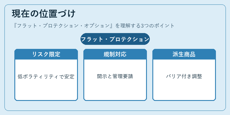 現在の位置づけ(フラット・プロテクション・オプション)の図解