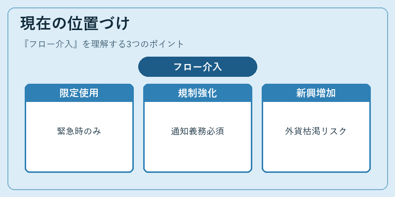 現在の位置づけ（フロー介入）の図解