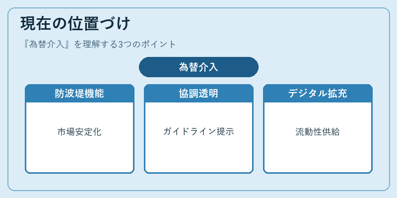 現在の位置づけ（為替介入）の図解