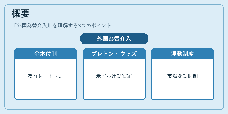概要（外国為替介入）の図解