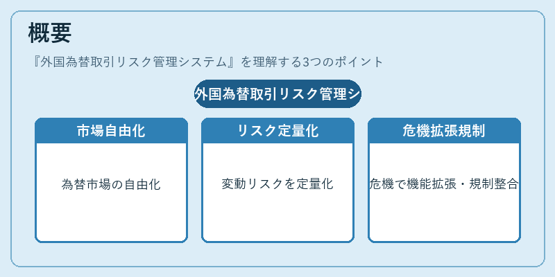 概要（外国為替取引リスク管理システム）の図解